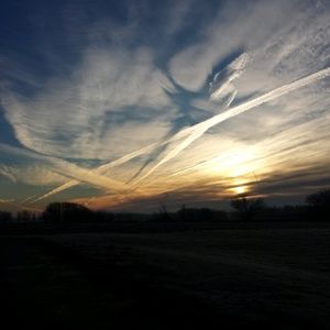 Meet your Posher, Rick